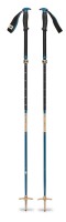 backcountry ski poles