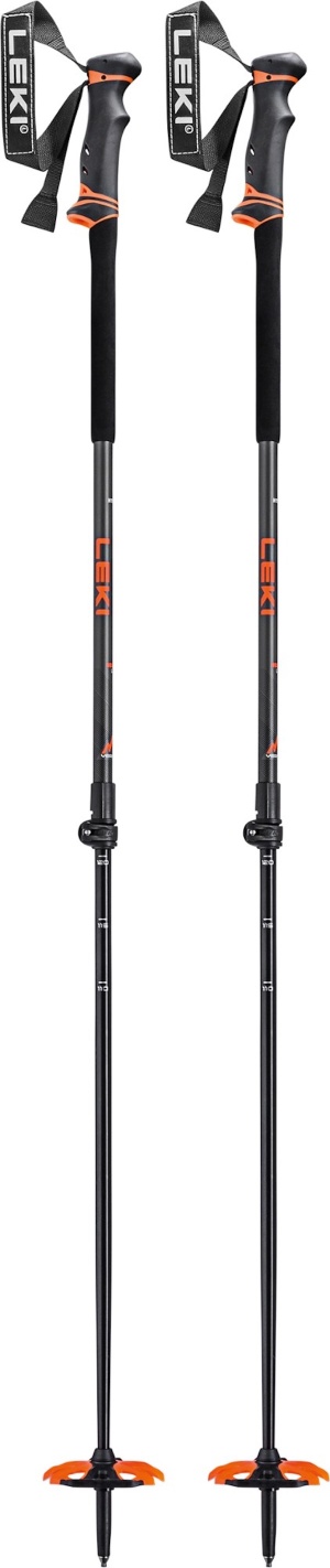 backcountry ski poles