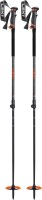 backcountry ski poles