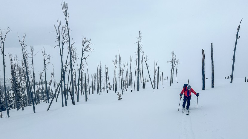 climbing skins - classically designed skins didn&#039;t include tail clips. however, most...