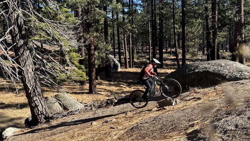 trail mountain bike - the trail doesn&#039;t always go down, and the stumpjumper 15 makes...