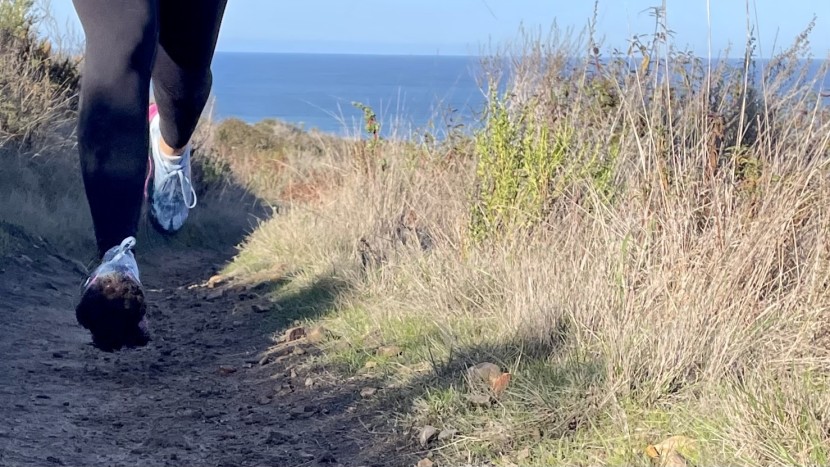 hoka torrent 4 for women - while not the softest trail shoe, it provides a secure fit and...