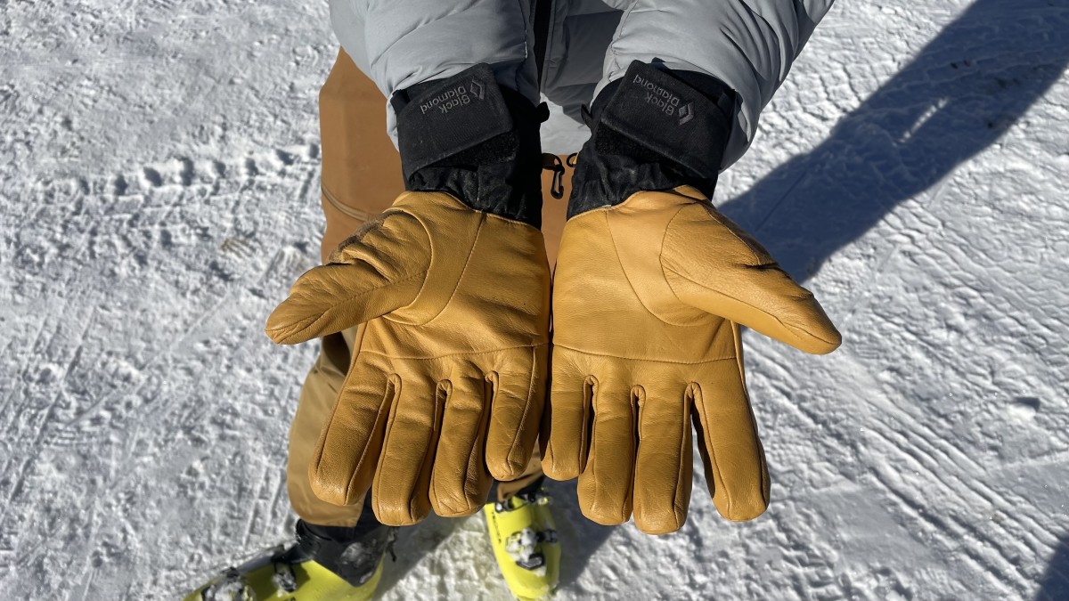 Black Diamond Legend Review