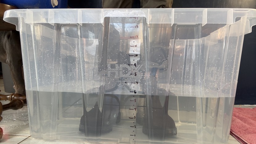 the blundstone was able to keep our feet dry until water reached the...