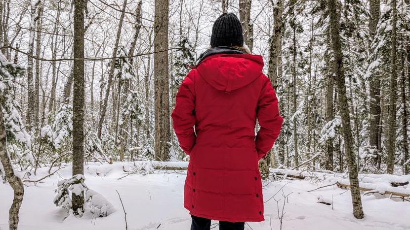 canada goose shelburne - an elegant silhouette and a wide range of photos make for one...