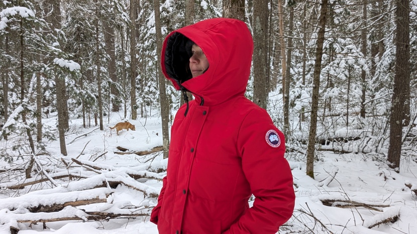 The 10 Best Winter Jackets of 2025 | Tested & Rated
