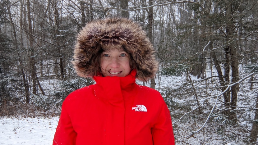 winter jacket womens - the north face arctic parka offers an excellent value.