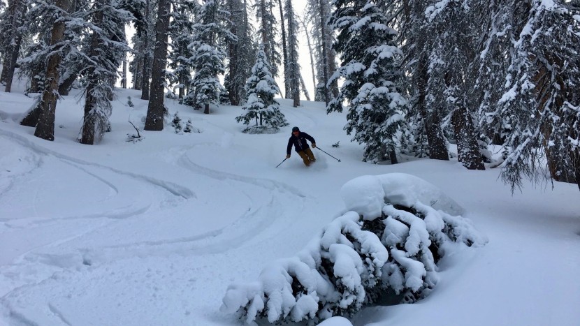 helly hansen alpha lifaloft - this jacket will provide years of great performance for much less...