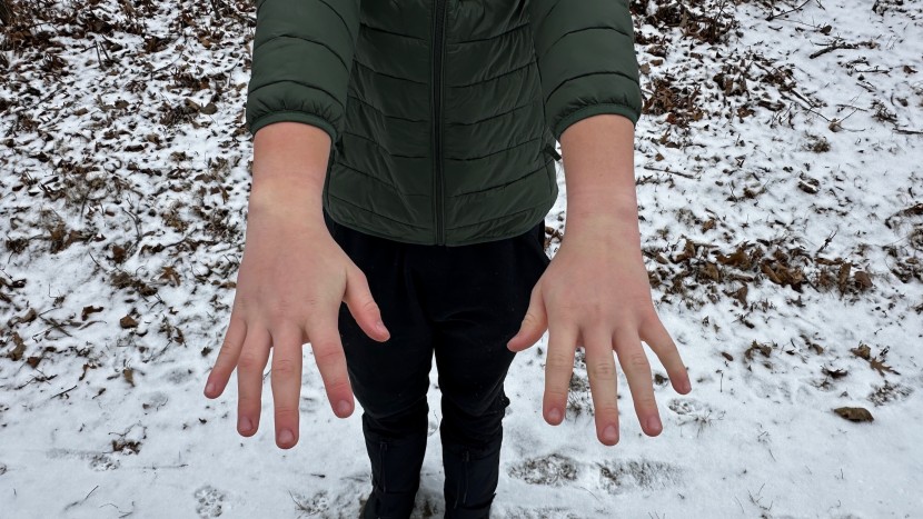 amazon essentials lightweight puffer hooded - the sleeves were a little short and constricting for our taste.