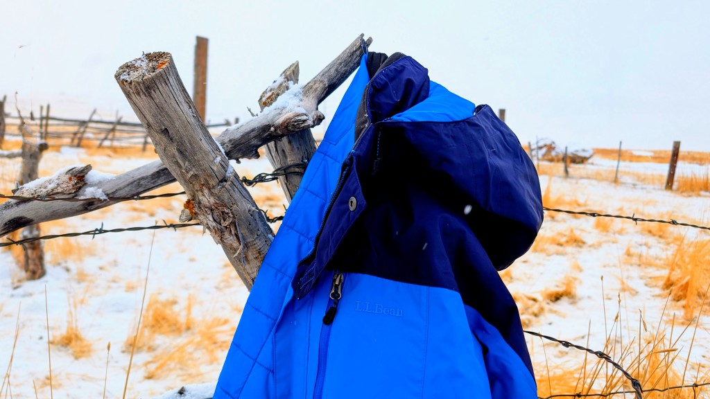 L.L. Bean Rugged Ridge Parka Review | Tested & Rated