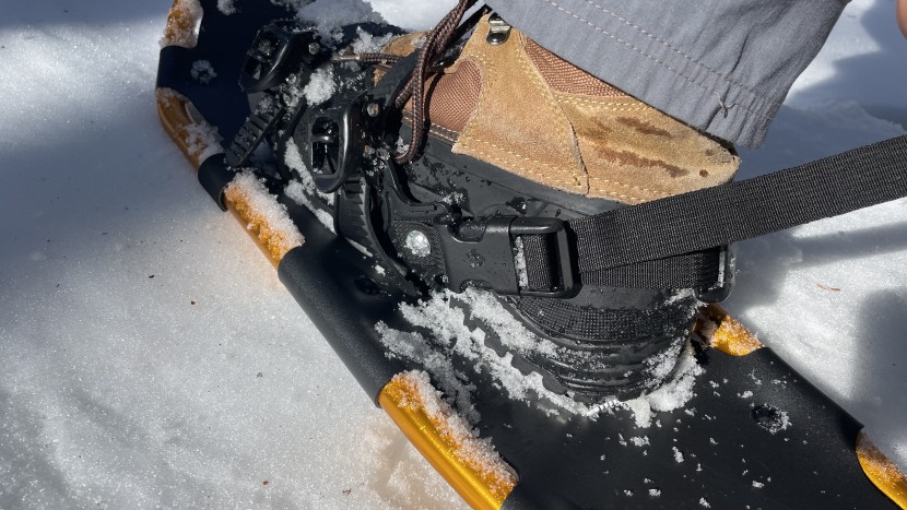 goplus - the nylon webbing/side squeeze buckle is not our favorite. in...