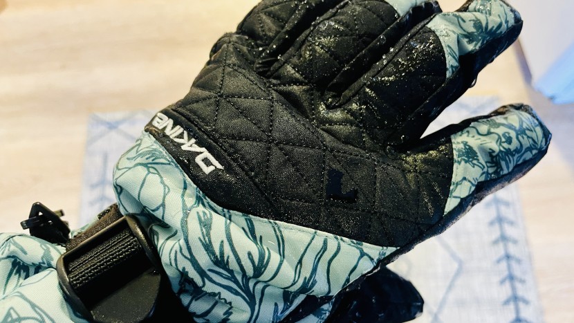 dakine camino - unfortunately, water was easily absorbed into the outer shell.