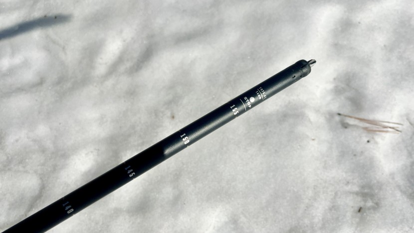 backcountry ski poles