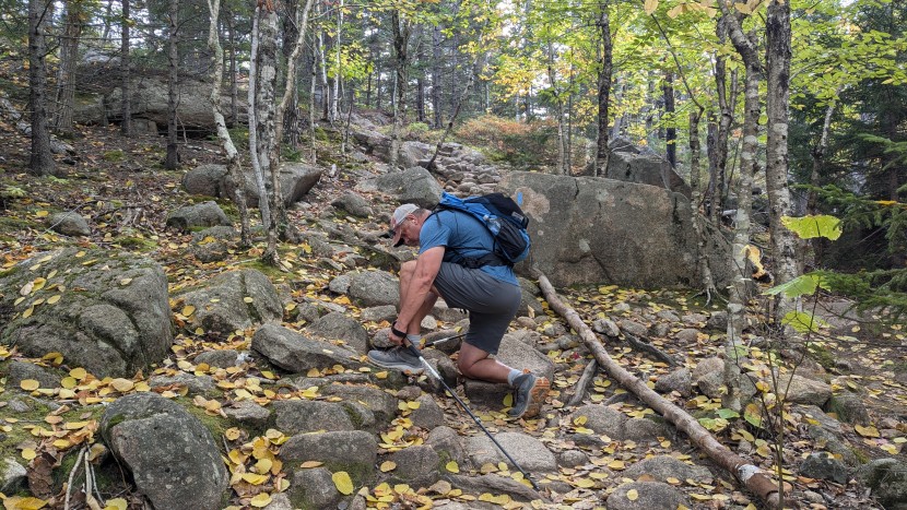 the wrangler shorts stretch and move well in any direction.