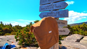 outdoor research ferrosi short