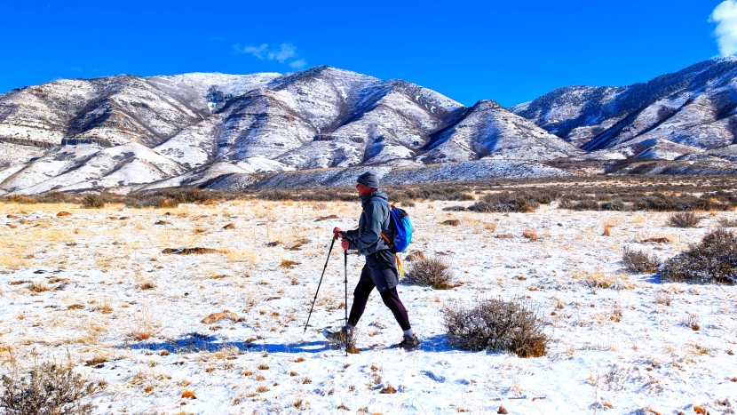 cruising through fresh snow en route to the peak.