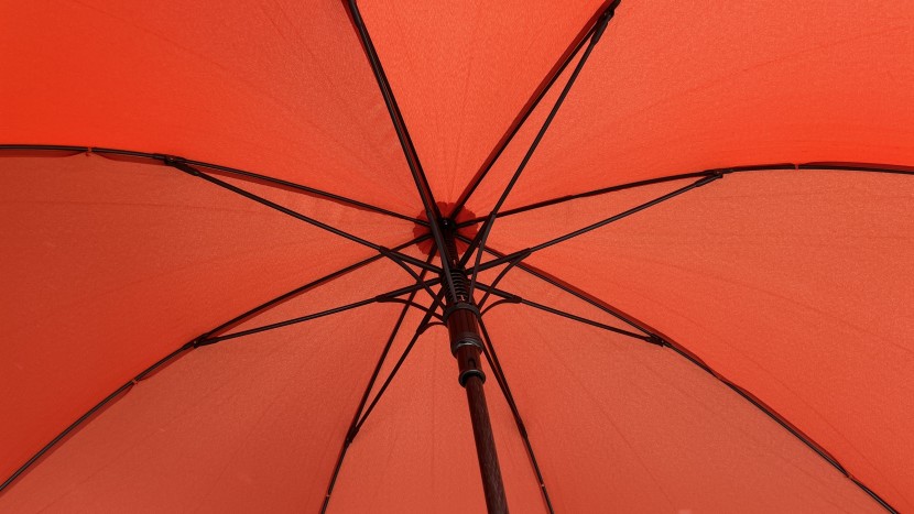 the structure of the davek is of high quality, utilizing thicker...