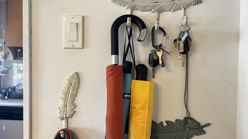 examples of models hung by either a crook handle or by a lanyard...