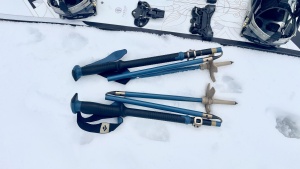 backcountry ski poles