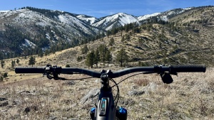 Lead photo for Best for Adjustability