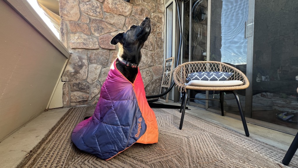 camping blanket - even our dog pals approve of these camping blankets!