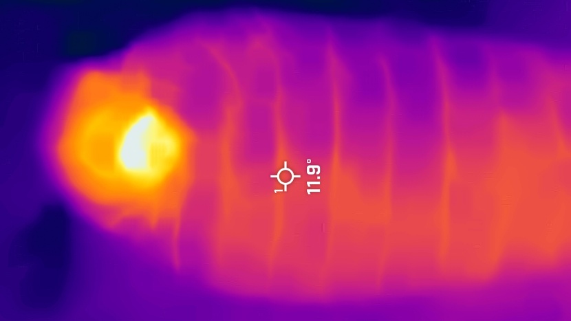 western mountaineering kodiak mf - while temperature testing the bags, we also took thermal pictures to...
