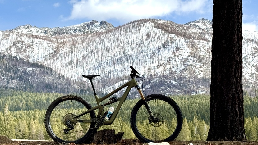 mountain bike - clean lines and excellent engineering give the ripmo a distinct look.