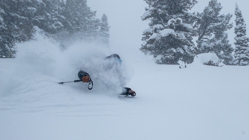 backcountry skis - in truly bottomless conditions like these, virtually any ski in our...