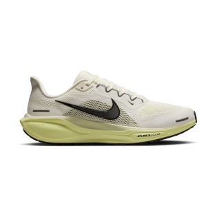 nike pegasus 41