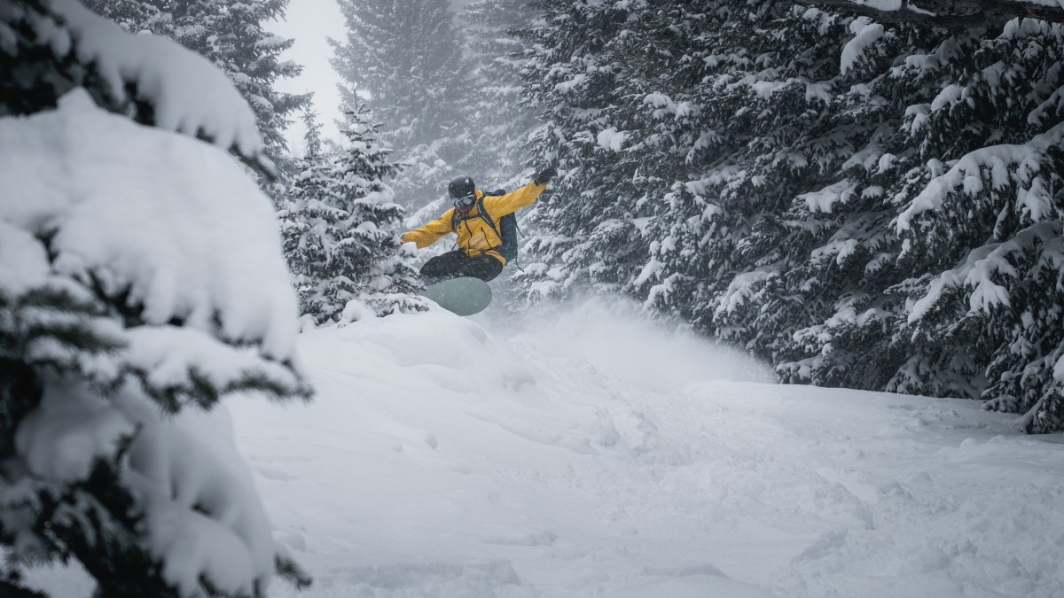 Best Splitboard Review