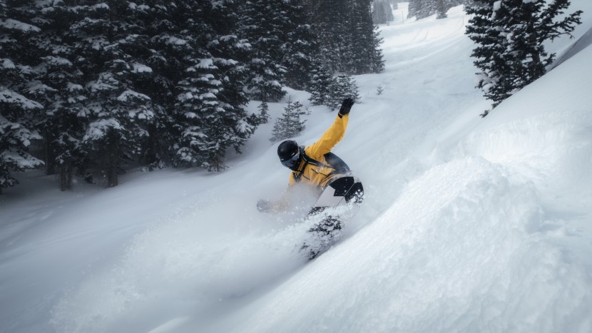 splitboard - a backwoods in its natural habitat