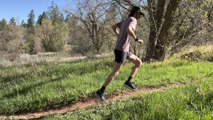 saucony peregrine 15