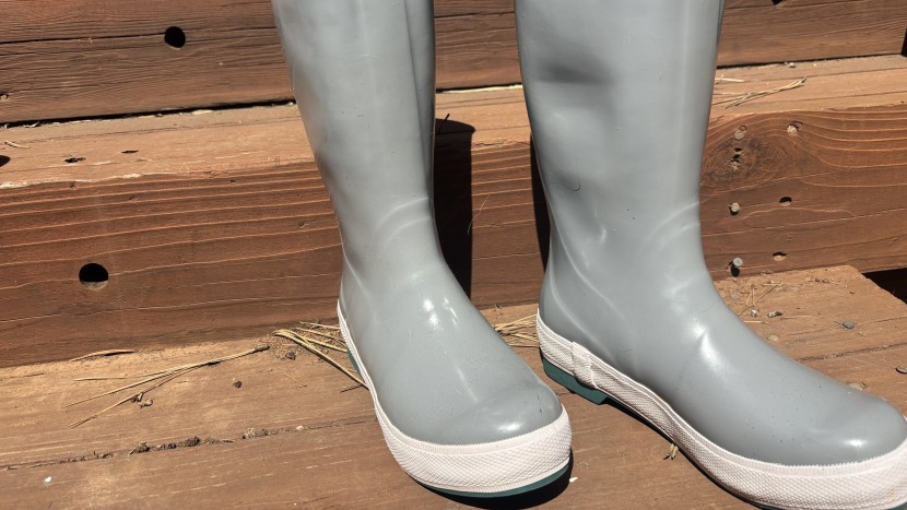 xtratuf legacy 15&quot; for women - the xtratuf 15&quot; legacy is a powerhouse of a rain boot.