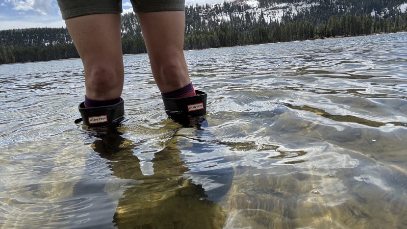 rain boots womens - the hunter original boots kept us completely dry in water depths...