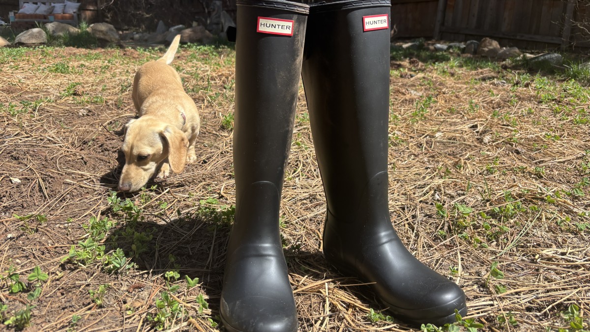 Hunter Original Back Adjustable Tall - Women's Review (The Hunter Original Back Adjustable boots have the highest flood height of all the boots we tested.)