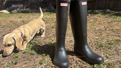 hunter original back adjustable tall for women