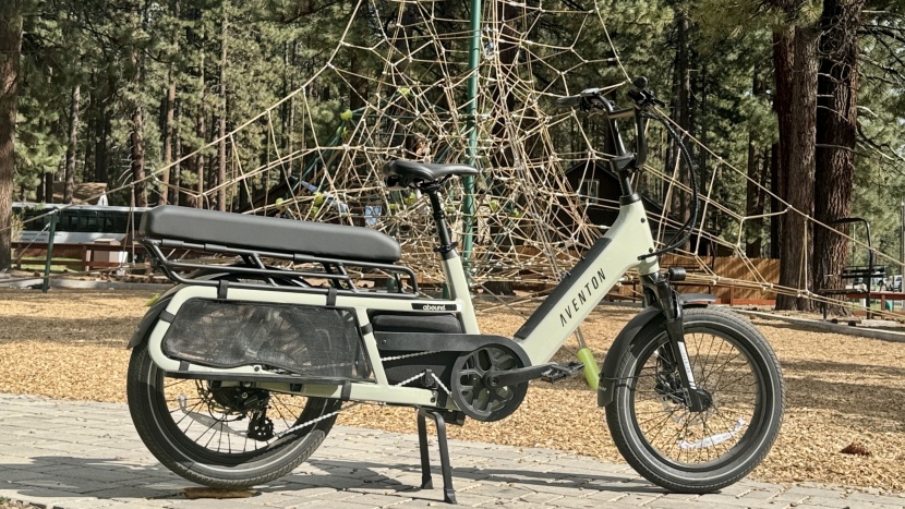 cargo bike - to the park, school, store, office, and pub; there are so many uses...