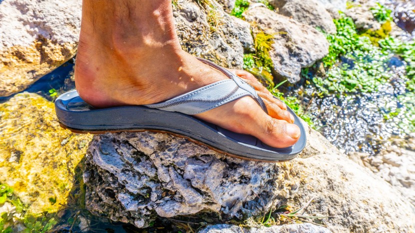 astral filipe - while there isn&#039;t much of an arch to speak of, the raised edges of...