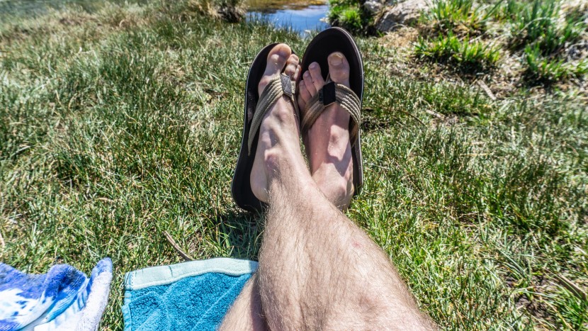 needbo ndb - these did relatively well in this metric, keeping up with our...