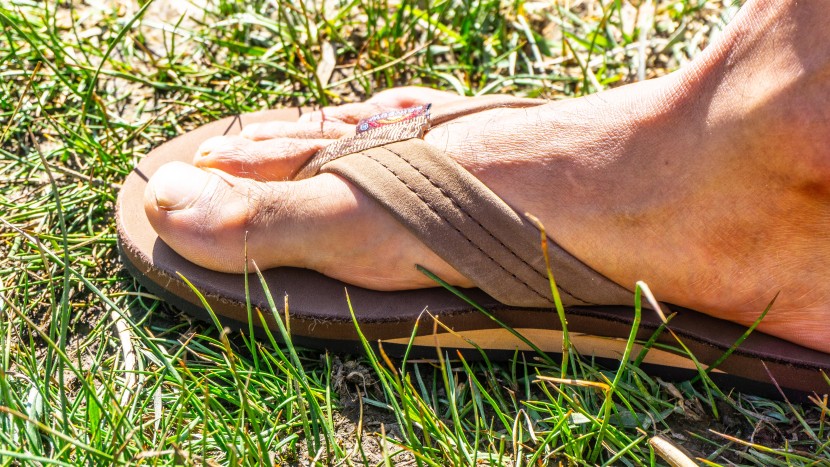 rainbow single layer premier - the single layer version of this flip flop wasn&#039;t the most...