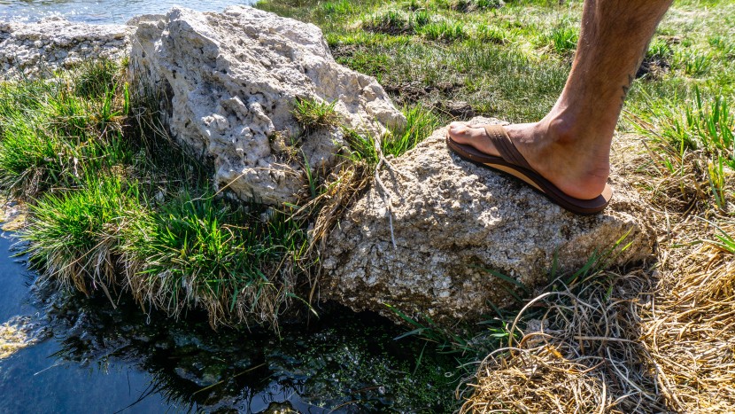 rainbow single layer premier - after about one week, we found the molded leather to offer a...