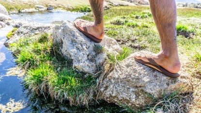 rainbow single layer premier