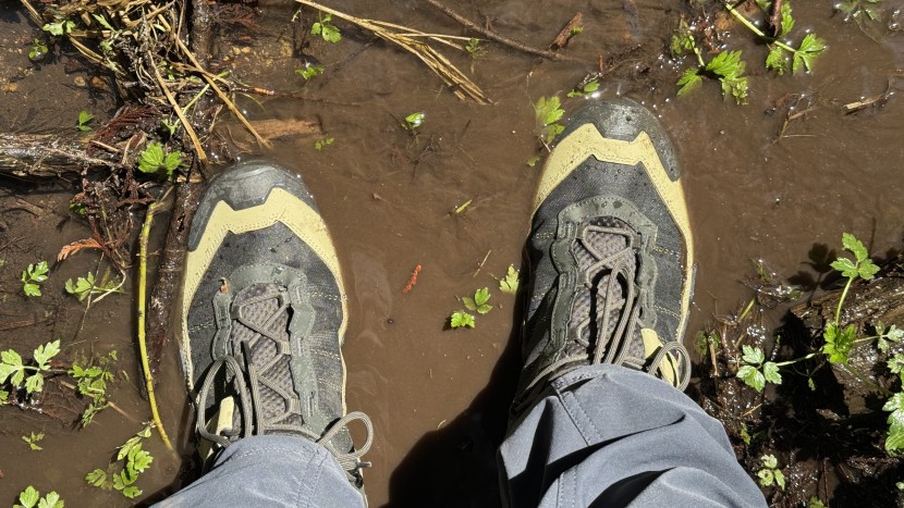 salomon x ultra 5 mid gore-tex - wherever you want to go, these x ultra 5 mids can likely take you...