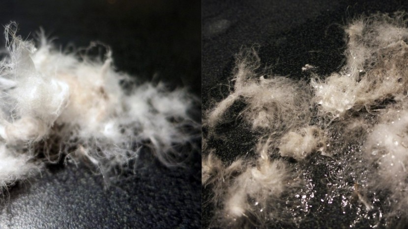 backpacking sleeping bag - we reviewed many recent studies on treated &quot;hydrophobic&quot; down, as...