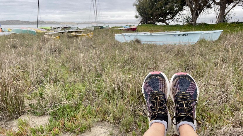 la sportiva prodigio pro for women - though it comes at a premium, la sportiva&#039;s reputation for...