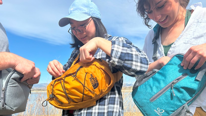 sling bag - the peak designs everyday, north face borealis and waterfly...