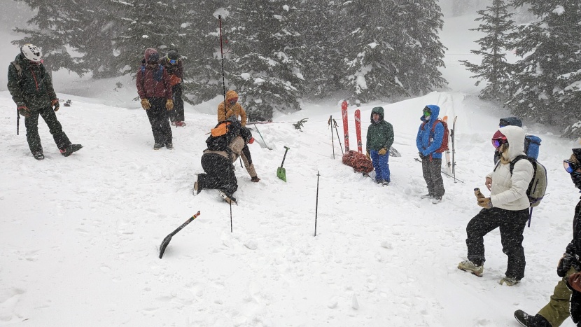 pieps pro ips - here, we&#039;re demonstrating the nuances of a fine search during an...