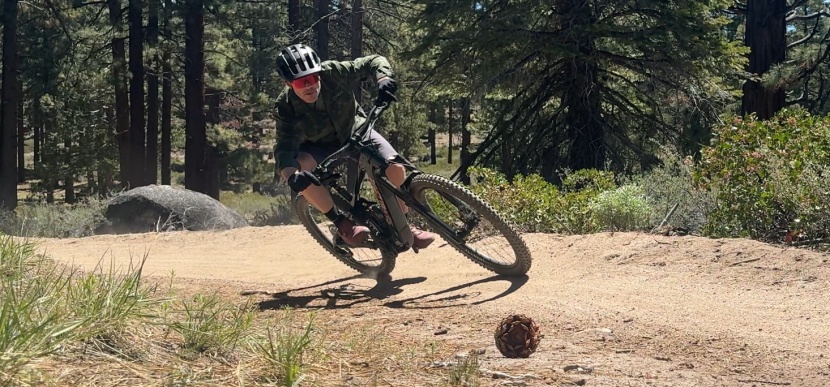 schwalbe magic mary radial trail pro - we were able to push the schwalbe radial further in almost every...