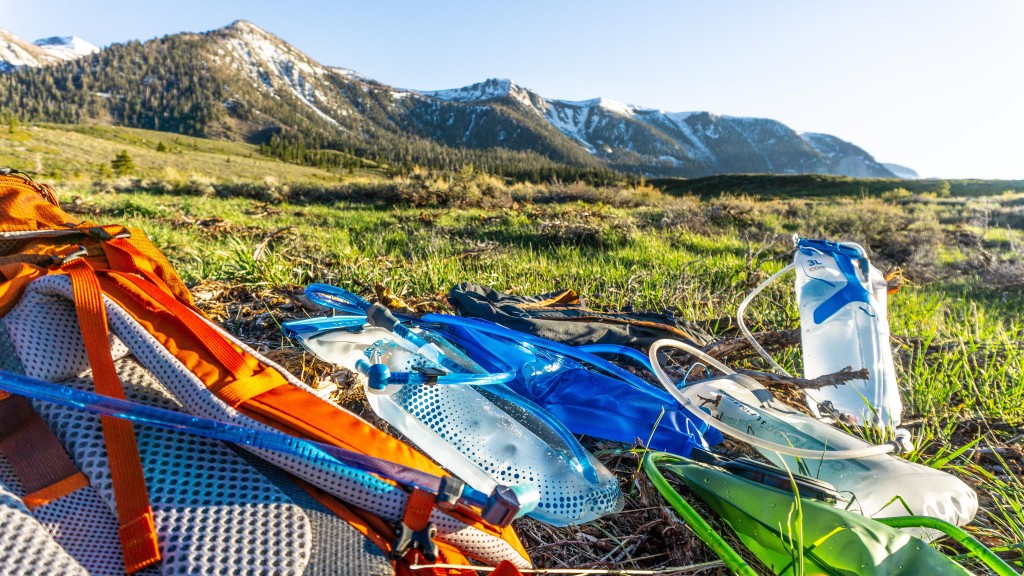 Gregory 3D Hydro hydration bladder