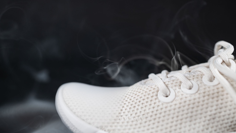 allbirds tree runners for women - the allbirds did earn high marks for breathability, which our smoke...